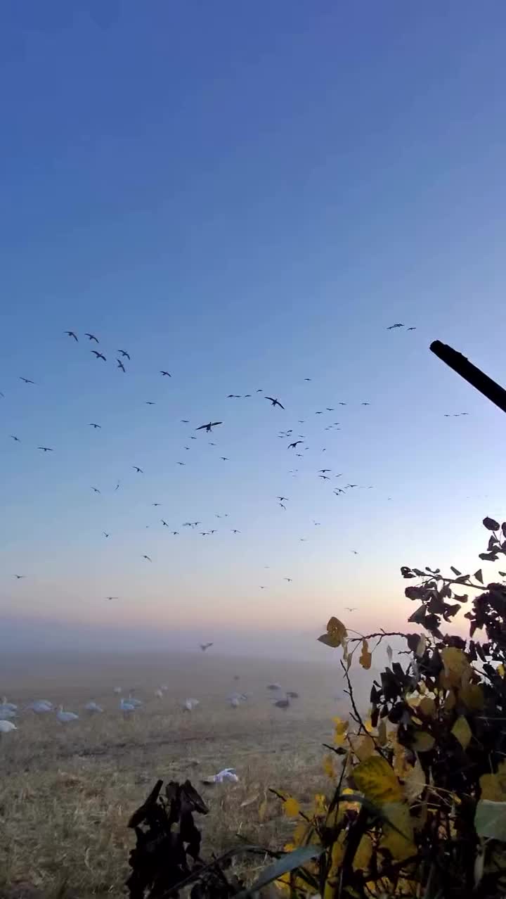 Video post from northernskiesoutfitters.