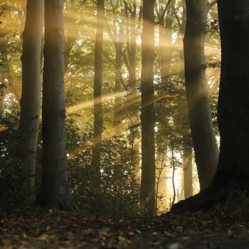 Photo post from ditiskatwijk.