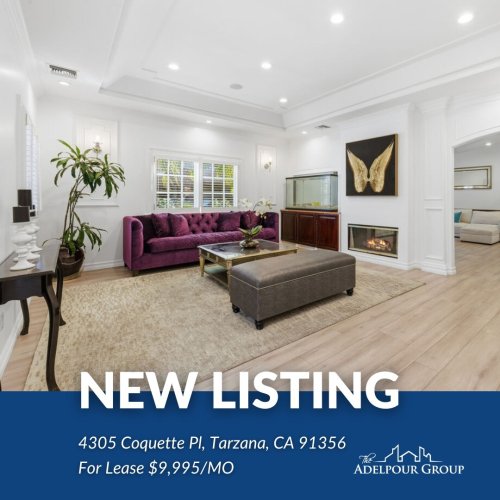 Carousel post from theadelpourgroup.