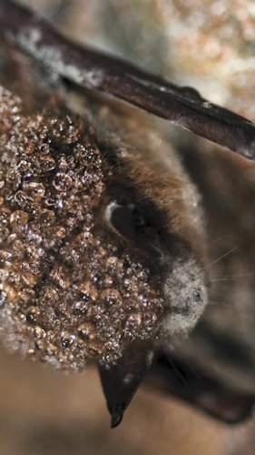 Video post from taylor.theyellowbird.