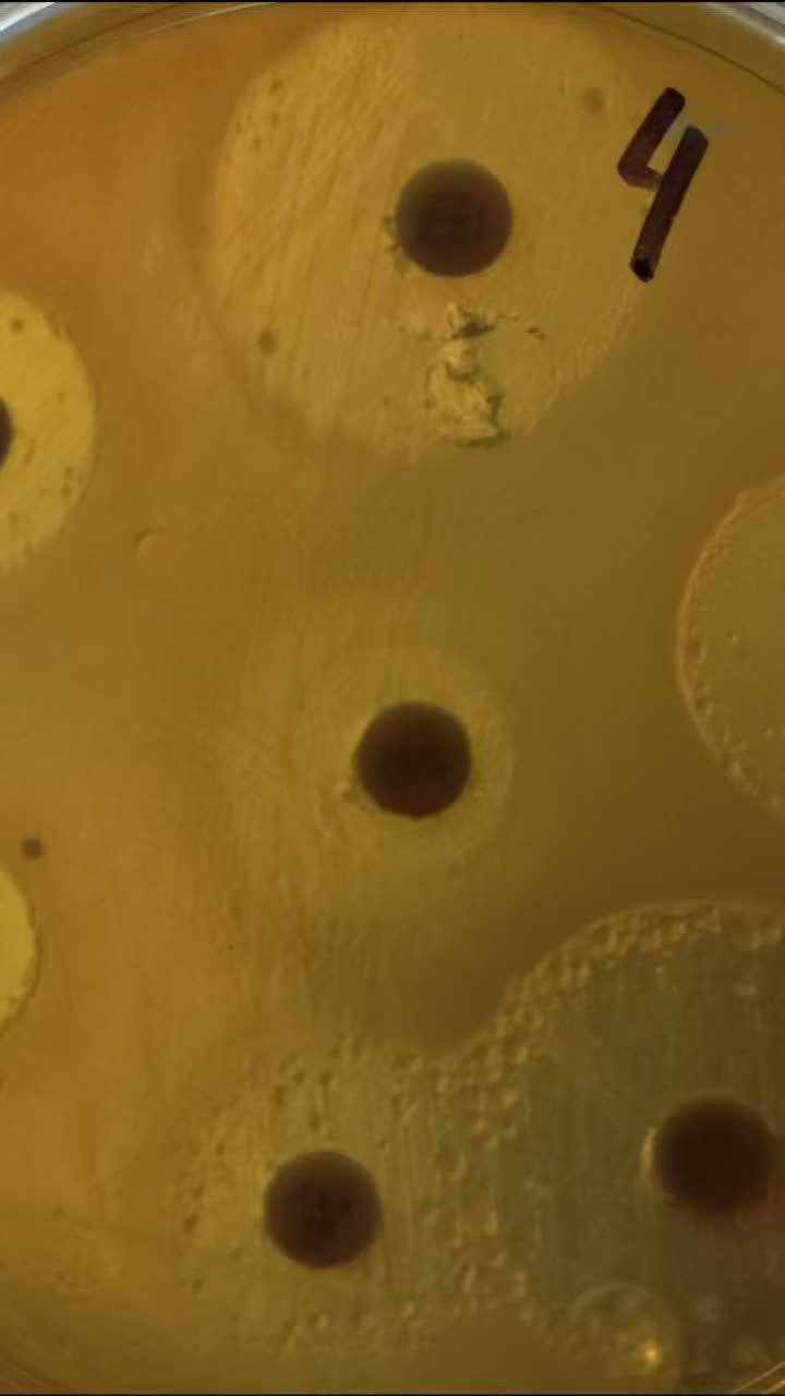 Video post from uan.oficial.
