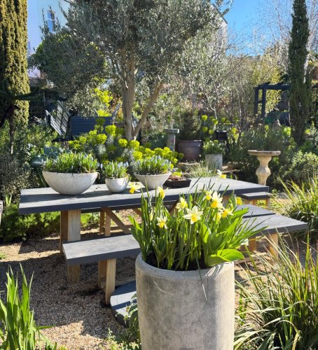 Photo post from gardenhousebrighton.