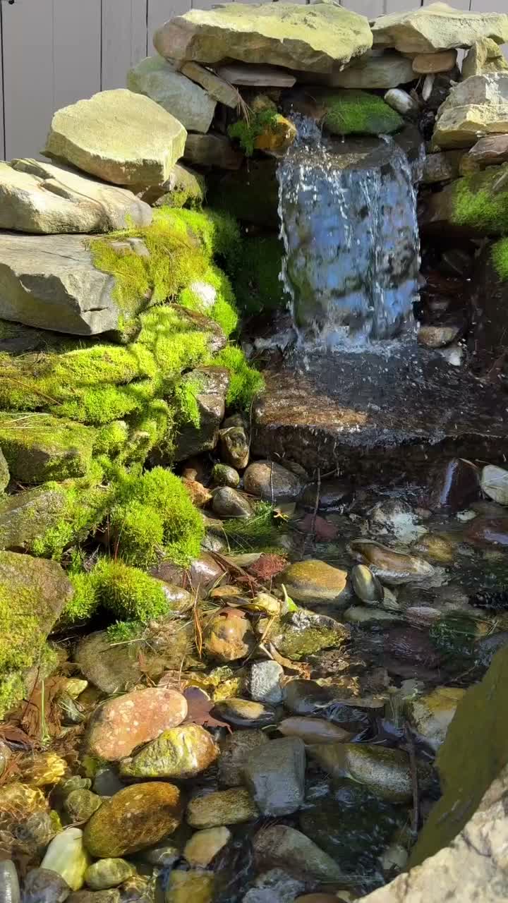 Video post from gardenaliahome.