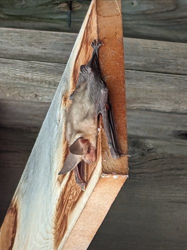 Photo post from thewdfw.