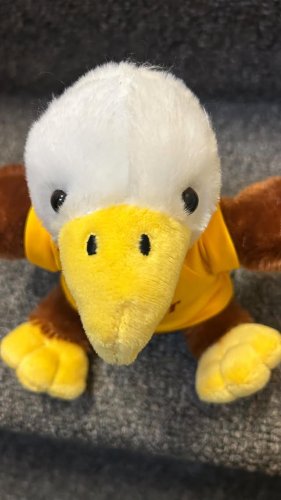 Video post from bc_ogsl.