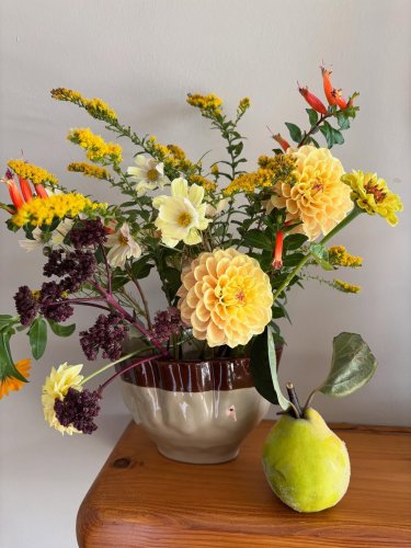 Photo post from gardenhousebrighton.