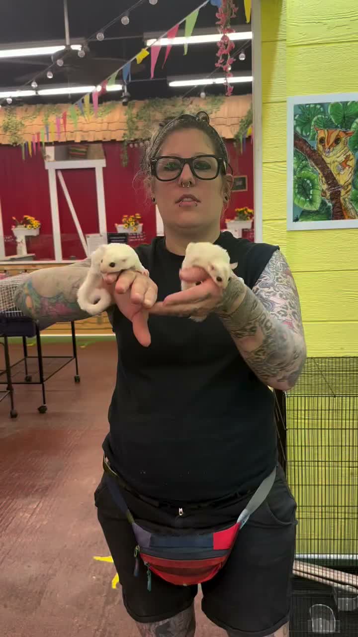 Video post from njexoticpets.