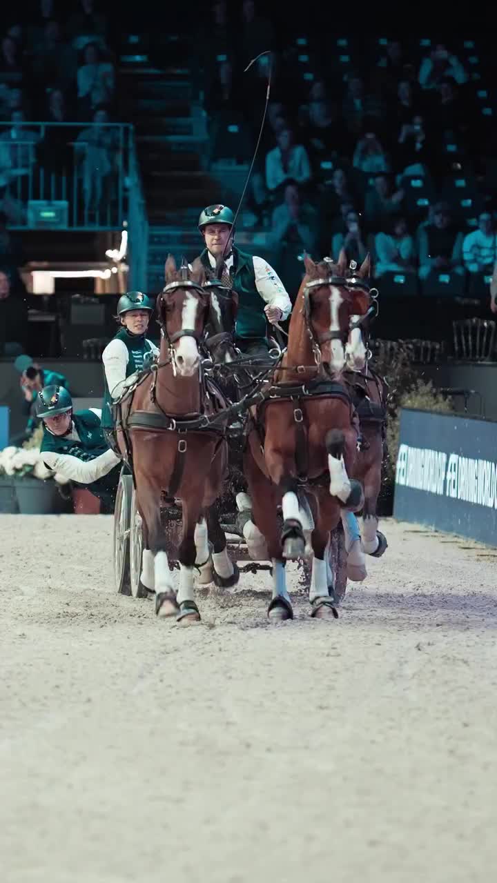 Video post from fei_global.