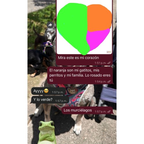 Photo post from batinformation.