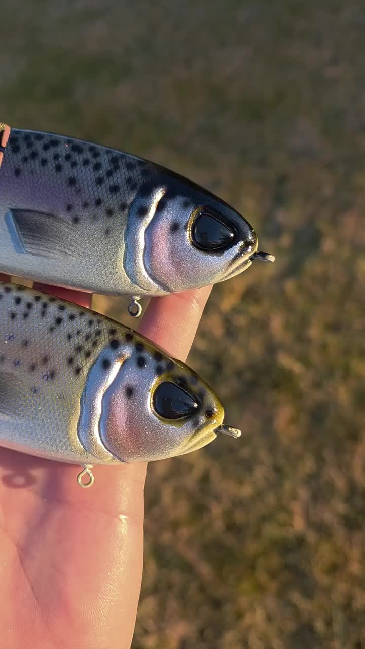 Video post from garrettscustoms.