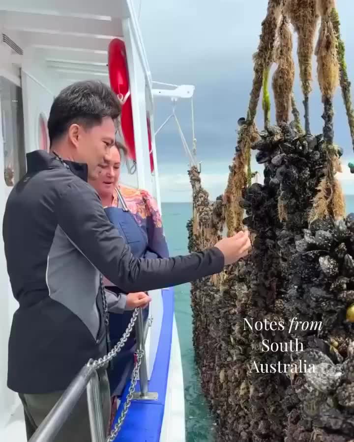 Carousel post from bluesky.escapes.