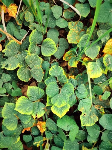 Carousel post from jakbobby.