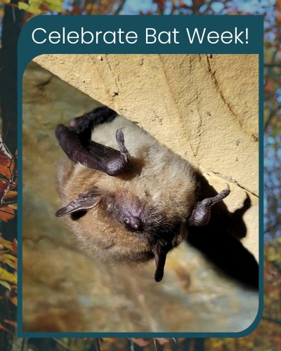 Photo post from galandtrust.