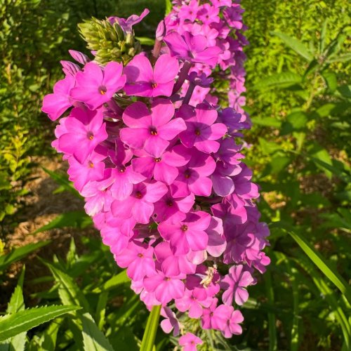 Photo post from nativesinharmony.