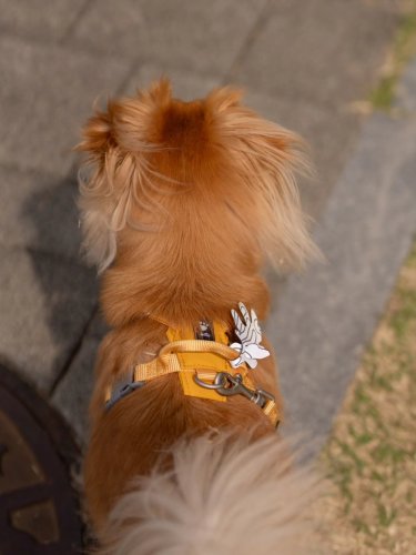 Carousel post from ronnie_1217.