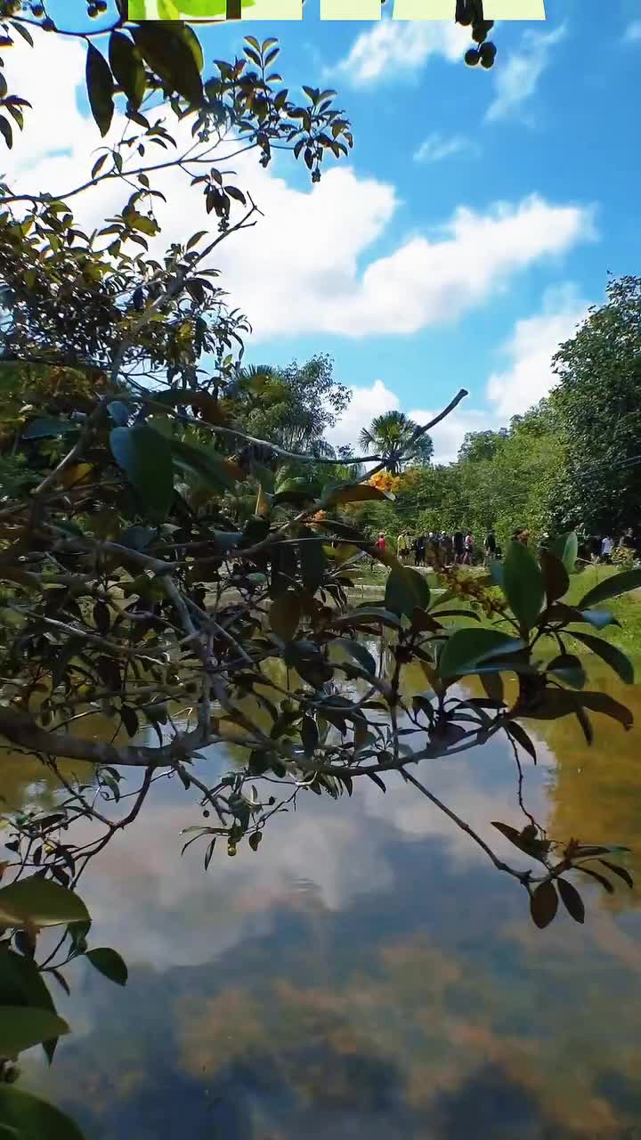 Video post from ananindeuapma.