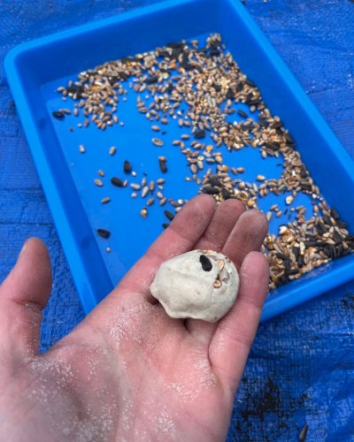 Carousel post from grow_naturally_norfolk.