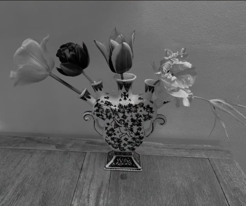 Photo post from gardenhousebrighton.