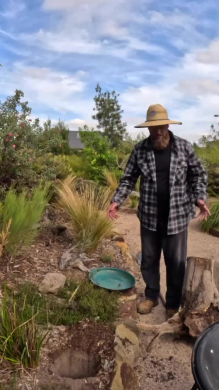 Video post from binchys_garden.
