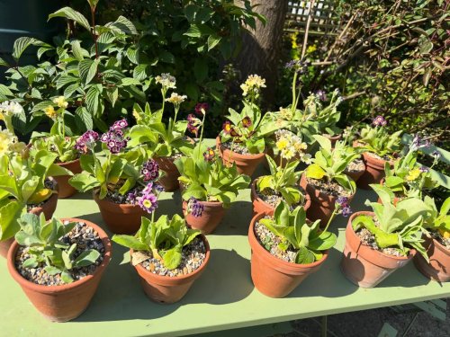 Photo post from gardenhousebrighton.