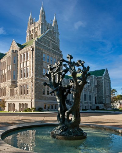 Photo post from bostoncollege.