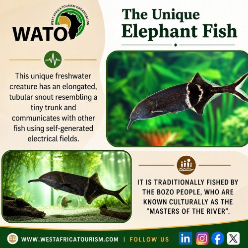 Photo post from wafricatourism.