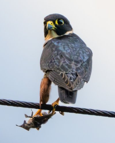 Photo post from biopostales.