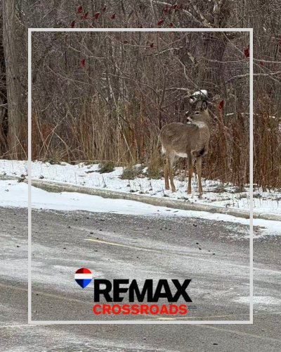 Carousel post from remaxcrossroadsrealtyinc.