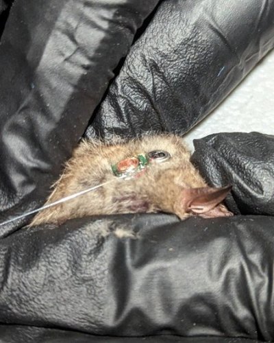 Carousel post from fwcresearch.