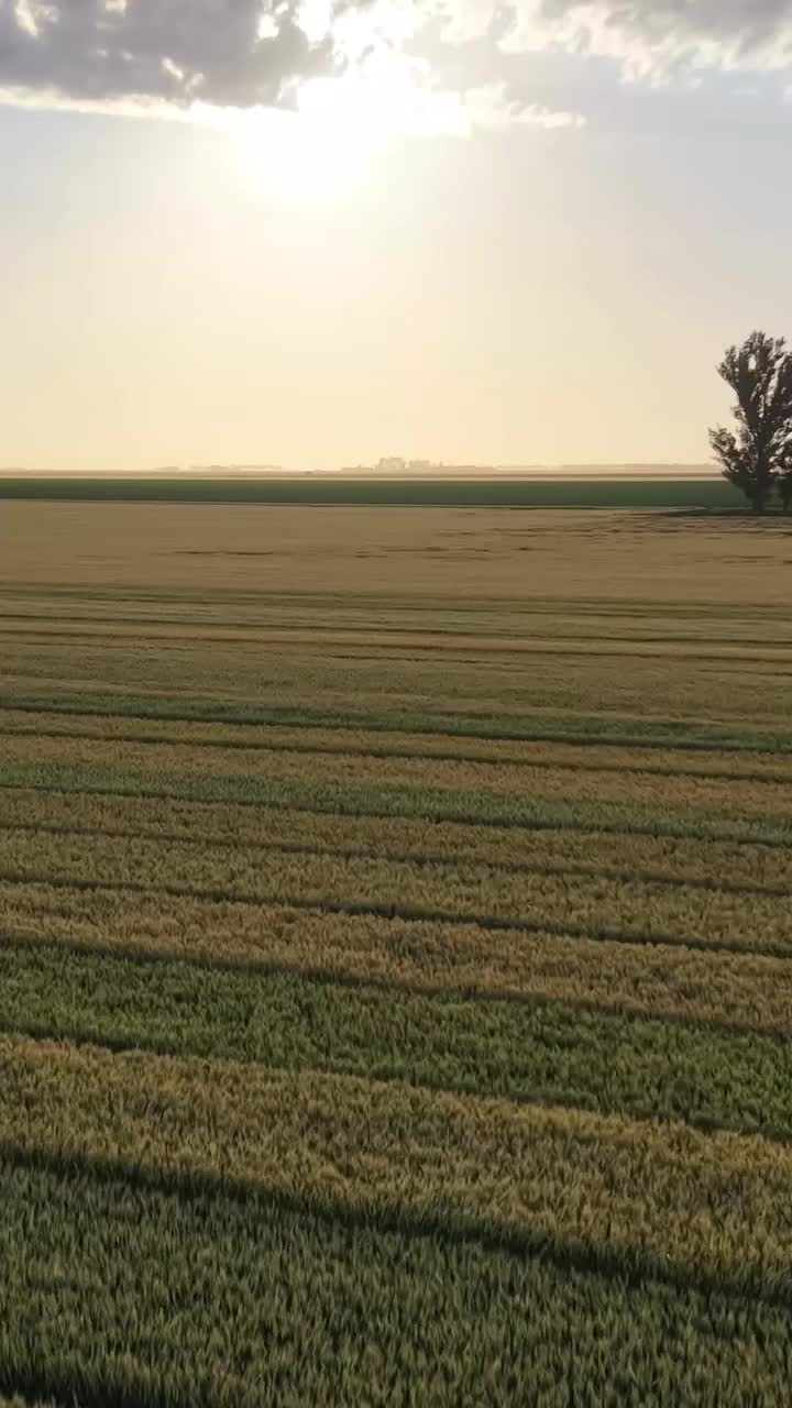 Video post from coopagricolaganadera.