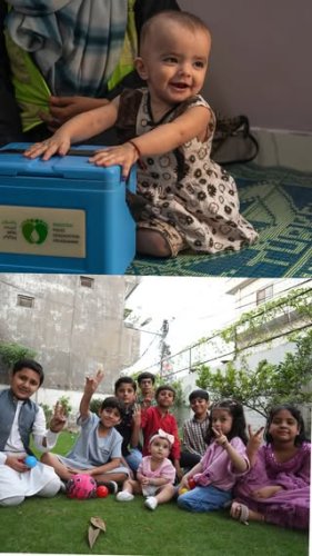 Video post from pakfightspolio.