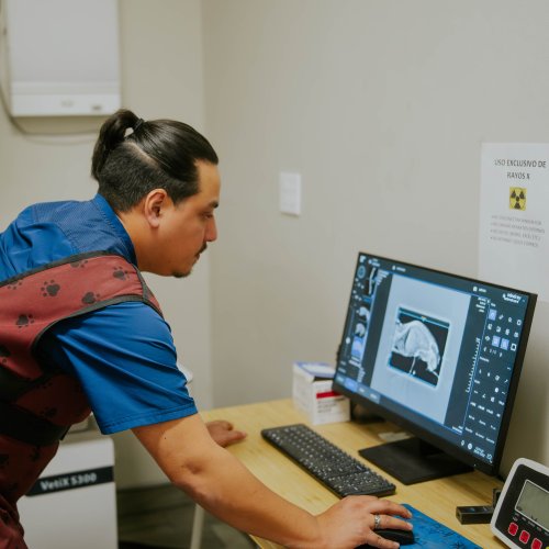 Photo post from medicalpettj.