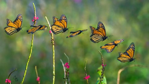 Photo post from texas_pixels.