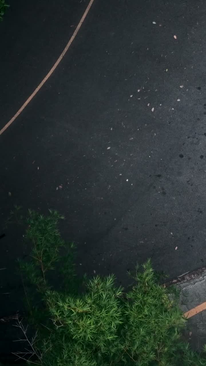 Video post from liveoficial.