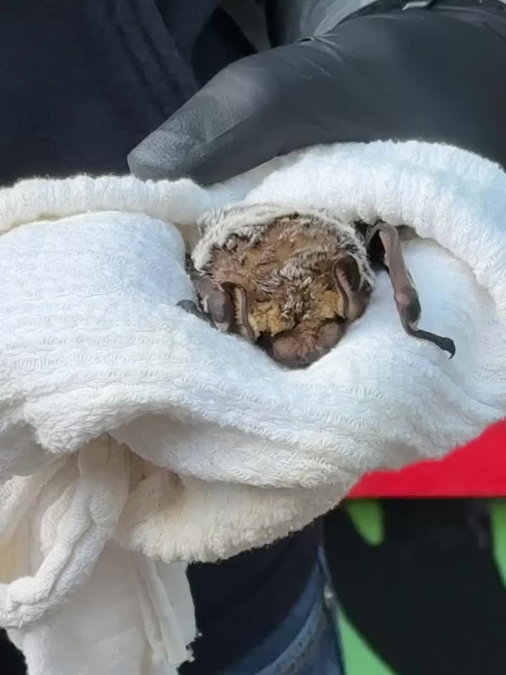 Carousel post from robbfoglia.