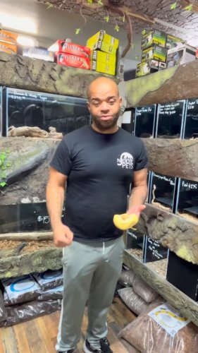 Video post from njexoticpets.