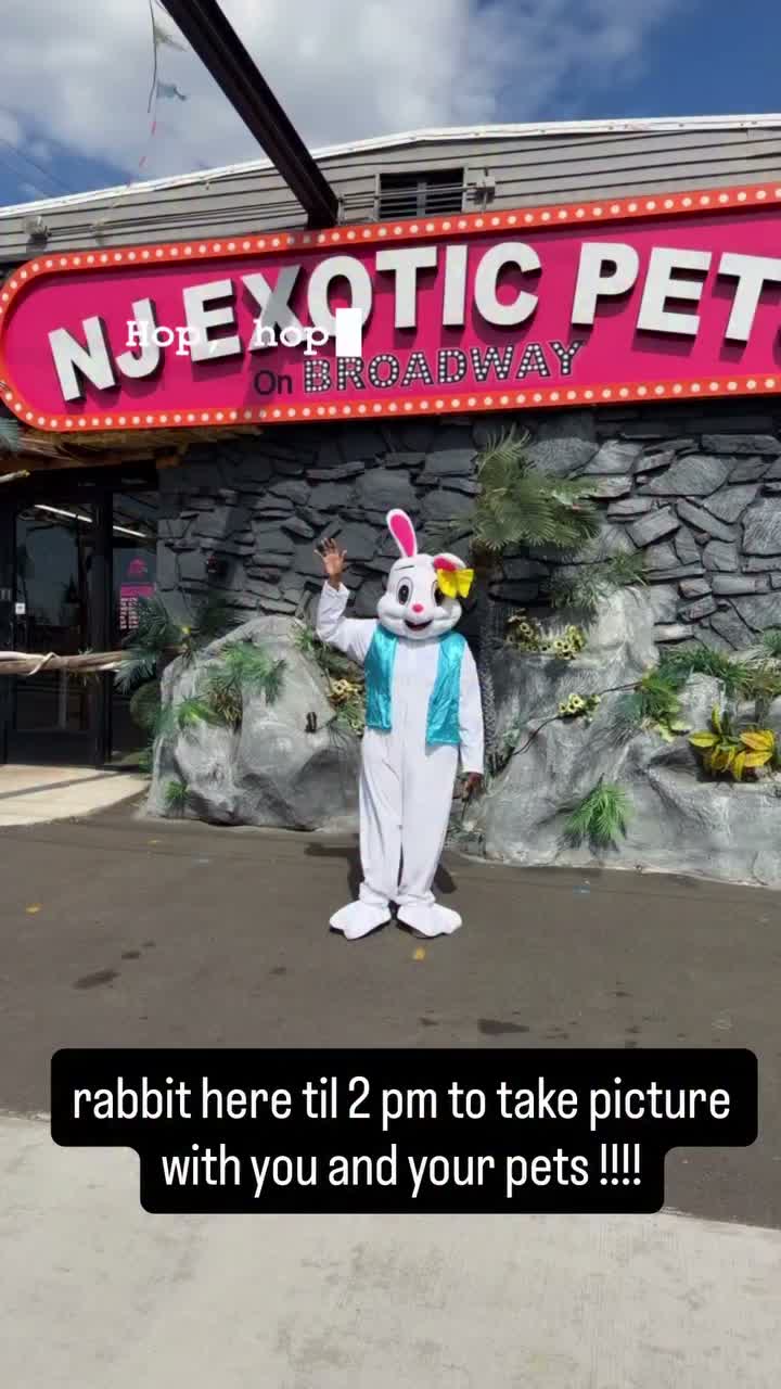 Video post from njexoticpets.