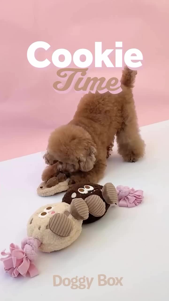 Doggy Box | 毎月サプライズいっぱいのBOXをお届け