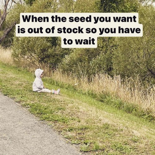 Photo post from wearenzseeds.