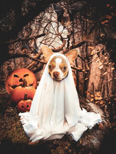 Photo post from we.dig.truffle.