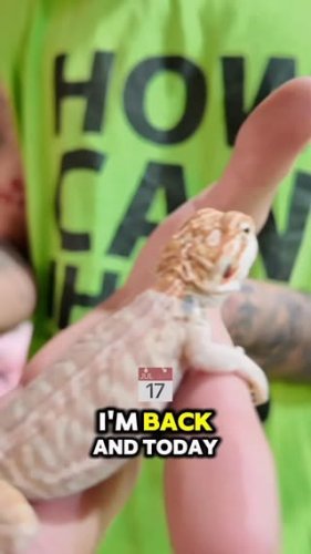 Video post from njexoticpets.