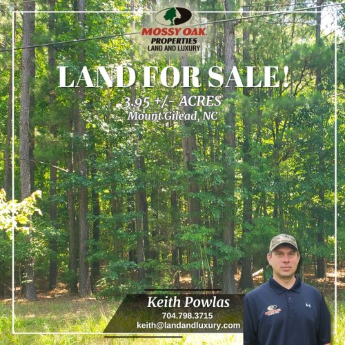 Carousel post from mossy_oak_properties.