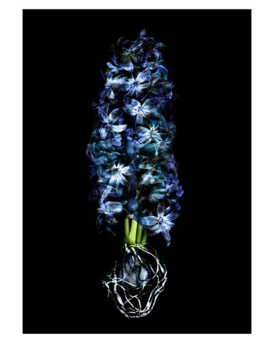 Carousel post from rpswomeninphotography.