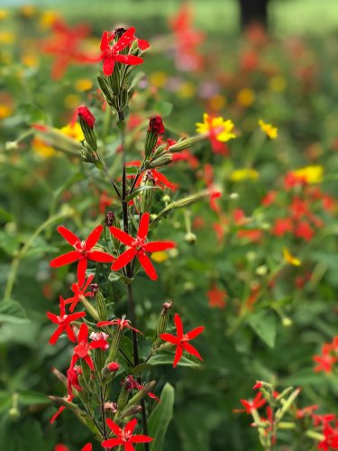 Photo post from nativesinharmony.