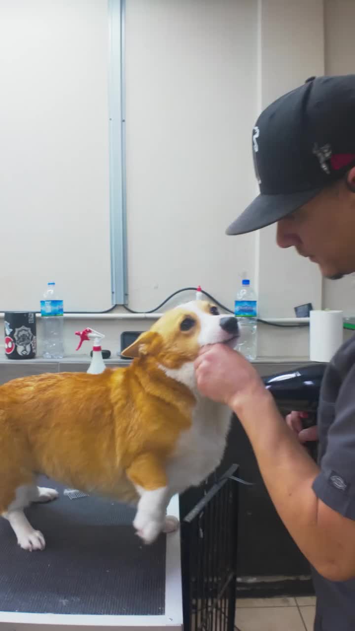 Video post from medicalpettj.