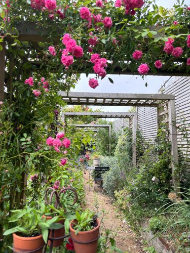 Photo post from gardenhousebrighton.