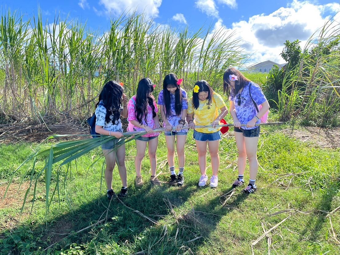 Carousel post from itoshima_hs.