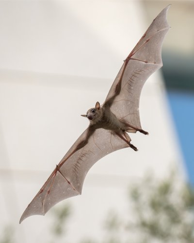 Photo post from weizmanncanada.