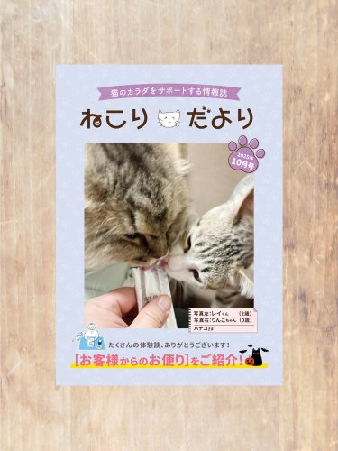 グレー　ネコリ　neco-ri 4箱 グレー ネコリ neco-ri 4箱 ねこり neco-ri 1箱10包入り : OSK
