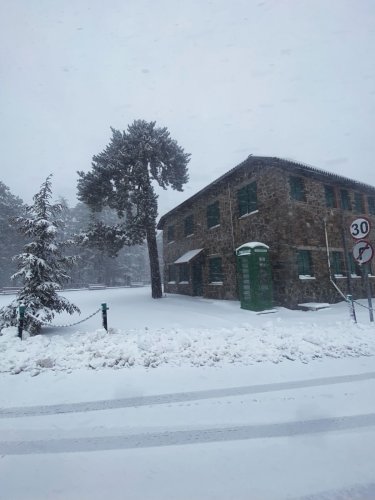 Carousel post from troodoshotel.